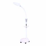 Lámpara Lupa Facial LED Para Estética Meifudeng® 1.70cm (Por Unidad)