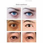 Parches de Colageno para Ojeras y Arrugas 1 Unidad