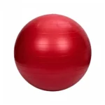 Pelota Bobath de 75 cm Profesional (Por Unidad)