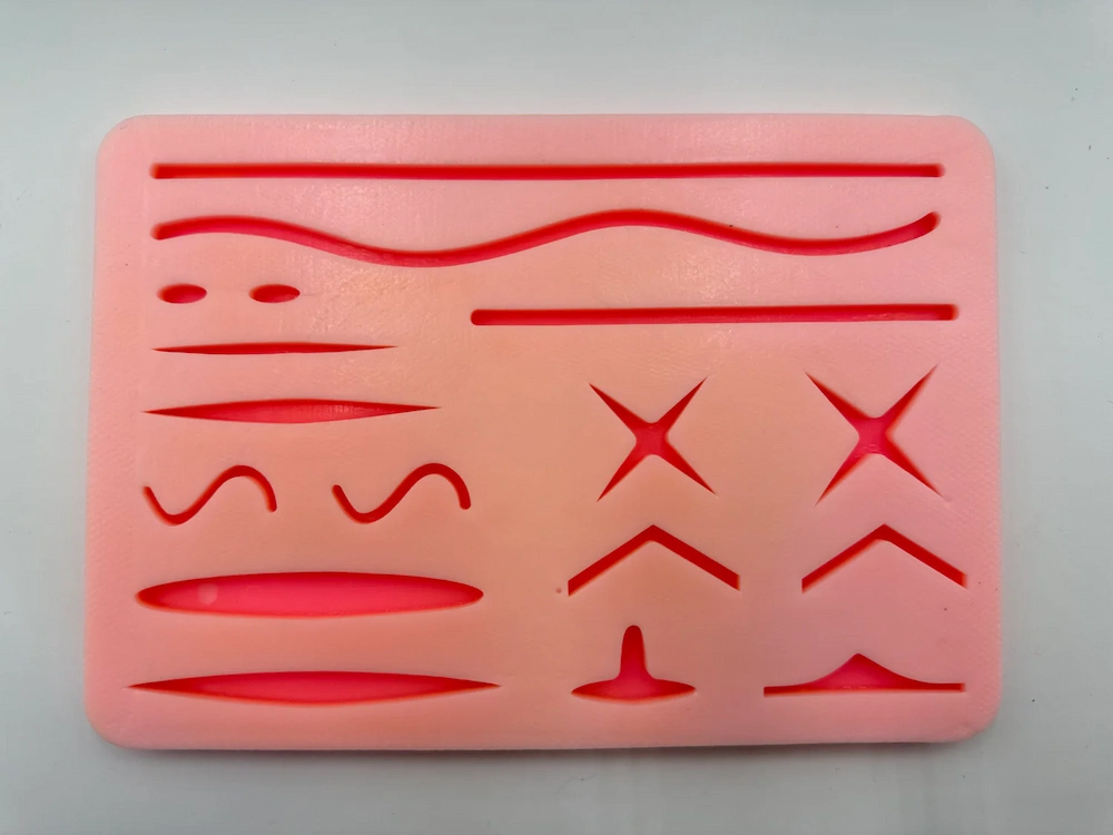 Almohadilla Maqueta Para Práctica De Sutura (1 Unidad)