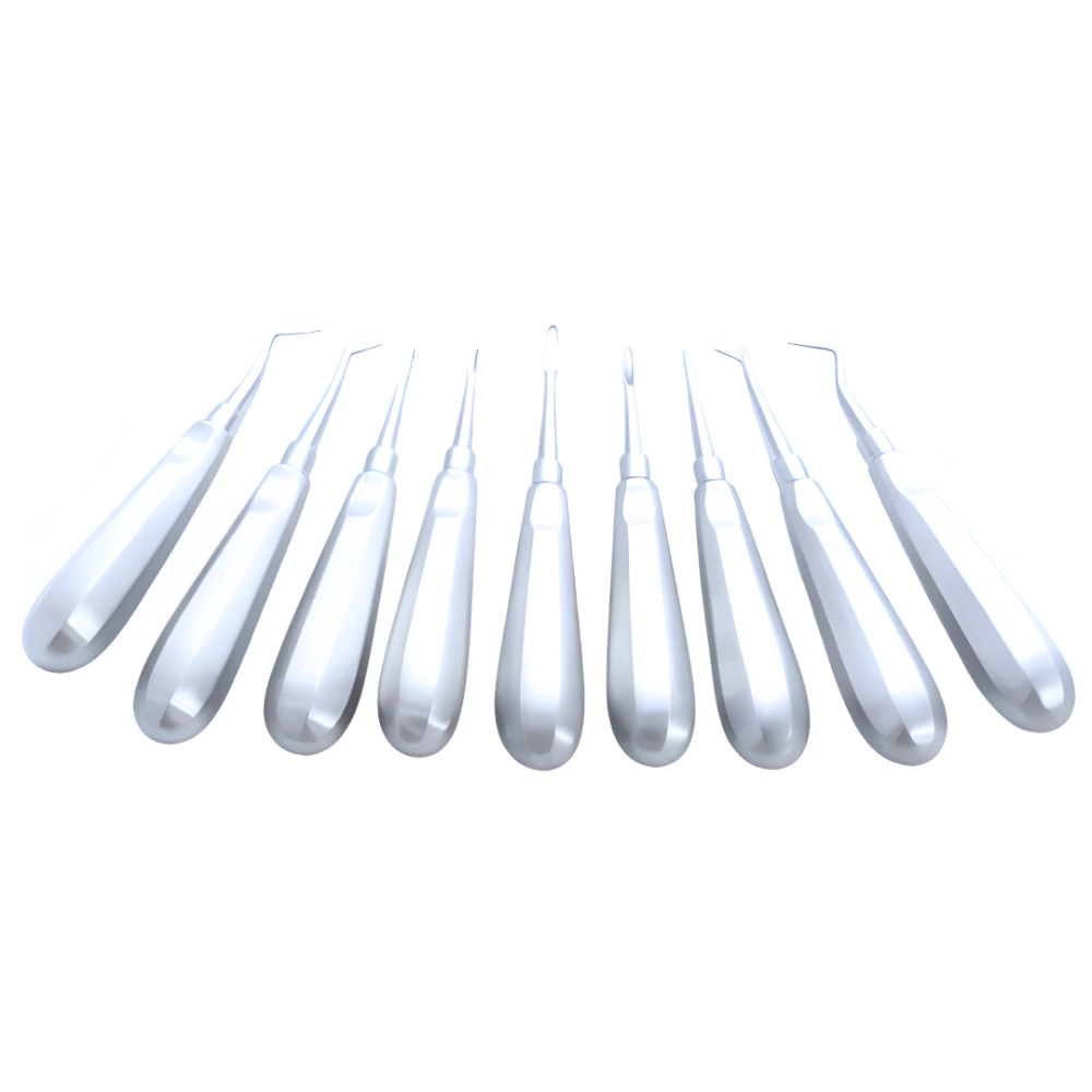 Elevador Dental Pakistan Acero Inoxidable (1 Set Completo)