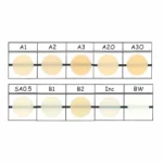 Resina Beautifil Flow Plus F00 - Varios Tonos (1 Set Completo)