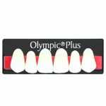 Dientes Acrílicos De Tres Capas Olympic® Plus (2 Cajas 12 Tabletas)